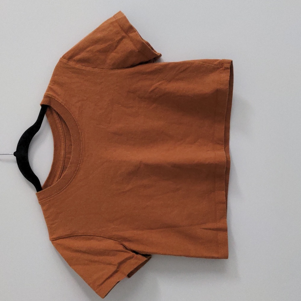 Urban Outfitters Best Friend Essential Cropped T-shirt, Rust, Womens Sma…